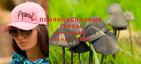 соль курить ск Вяземский