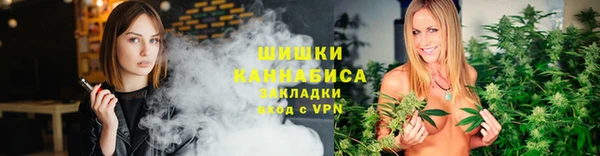 ГАЛЛЮЦИНОГЕННЫЕ ГРИБЫ Горно-Алтайск