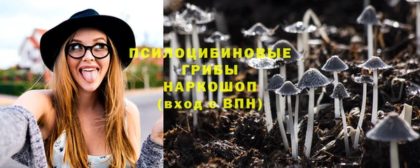 ГАЛЛЮЦИНОГЕННЫЕ ГРИБЫ Горно-Алтайск